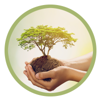 greencarbon_icon_valores